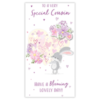 6pk Cards C55 Birthday Cousin - Tiger Feet Ireland