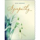 6pk Cards C50 Sympathy Open - Tiger Feet Ireland