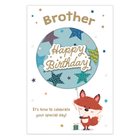 6pk Cards C75 Birthday Brother - Tiger Feet Ireland