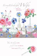 6pk Cards C75 Birthday Wife - Tiger Feet Ireland