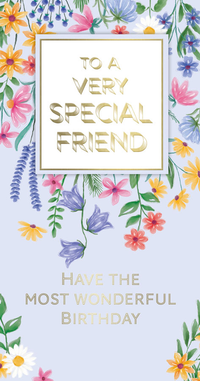 6pk Cards C55 Birthday Friend - Tiger Feet Ireland