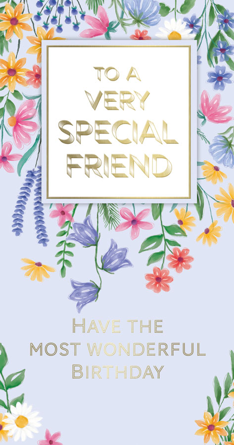 6pk Cards C55 Birthday Friend - Tiger Feet Ireland