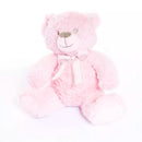 Plush Pink Bear 28cm - Tiger Feet Ireland