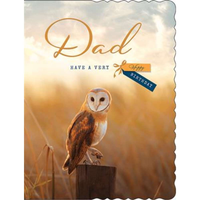 6pk Cards C50 Birthday Dad - Tiger Feet Ireland