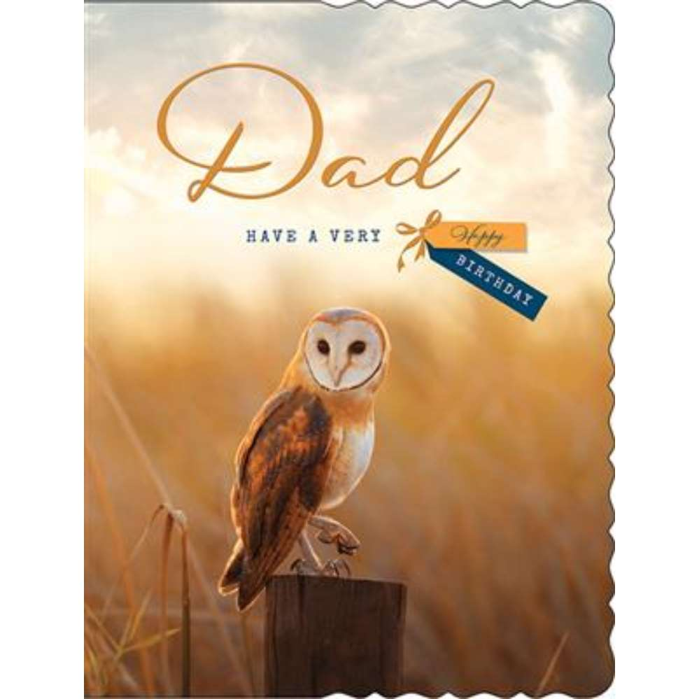 6pk Cards C50 Birthday Dad - Tiger Feet Ireland