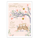 6pk Cards C50 Wedding Day - Tiger Feet Ireland