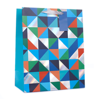 6pk Extra Large Portrait Gift Bags Pattern - Tiger Feet Ireland
