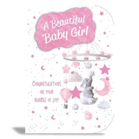 6pk Cards C50 Birth To Grandparents - Tiger Feet Ireland