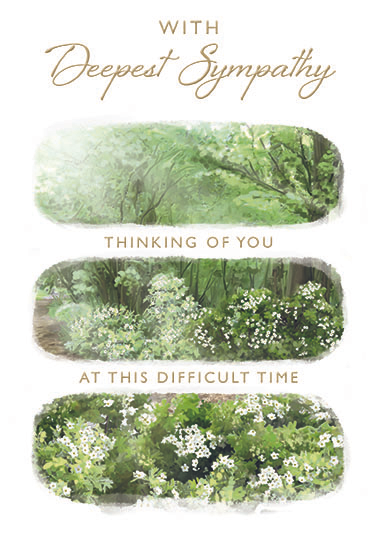 6pk Cards C50 Sympathy - Tiger Feet Ireland