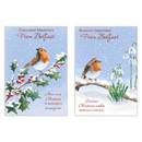 12pk Cards C50 Cousin - Tiger Feet Ireland