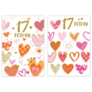 12pk Cards C50 Birthday Age 17 - Tiger Feet Ireland
