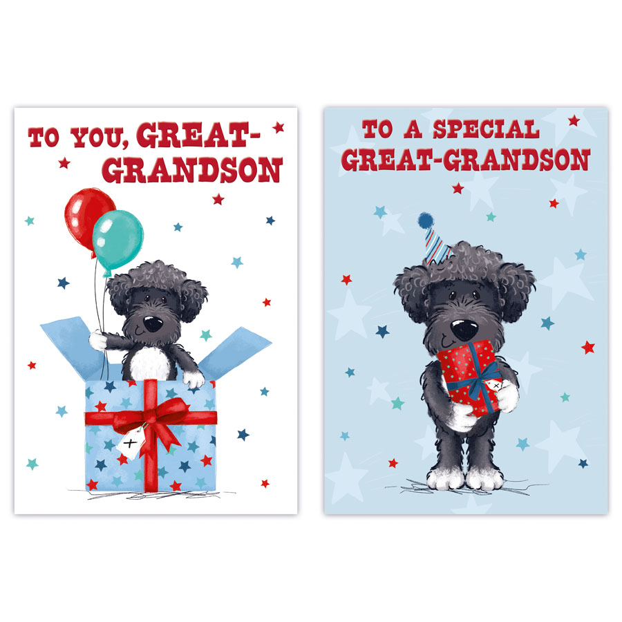 12pk Cards C50 Birthday Great-Grandson - Tiger Feet Ireland