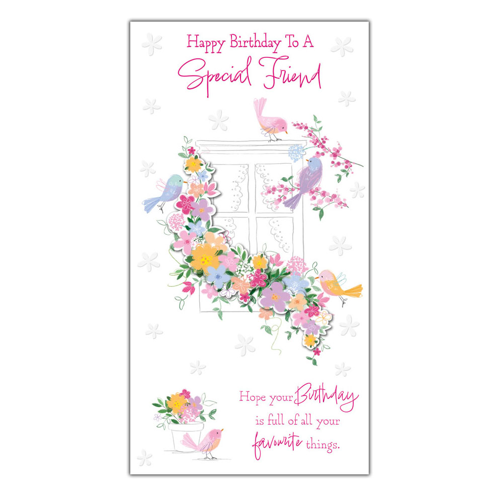 6pk Cards C55 Birthday Friend - Tiger Feet Ireland