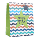 6pk Extra Large Portrait Gift Bags Star - Tiger Feet Ireland