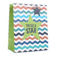 6pk Extra Large Portrait Gift Bags Star - Tiger Feet Ireland