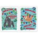 12pk Cards C50 Birthday Son-In-Law - Tiger Feet Ireland