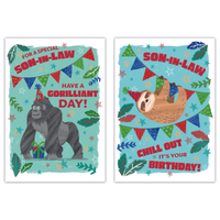 12pk Cards C50 Birthday Son-In-Law - Tiger Feet Ireland