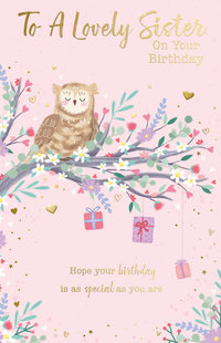 6pk Cards C375 Birthday Sister - Tiger Feet Ireland