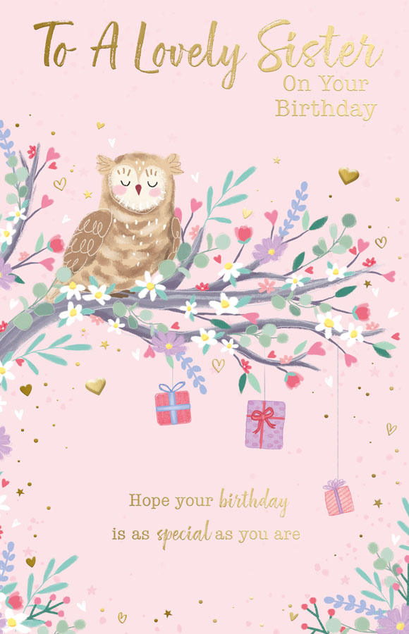 6pk Cards C375 Birthday Sister - Tiger Feet Ireland