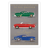 6pk Cards C90 Birthday Brother - Tiger Feet Ireland