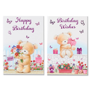 12pk Cards C50 Birthday Open - Tiger Feet Ireland