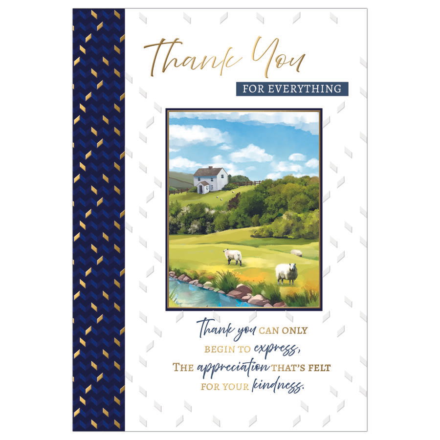 6pk Cards C50 Thank You - Tiger Feet Ireland