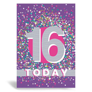 6pk Cards C50 Birthday Age 16 - Tiger Feet Ireland