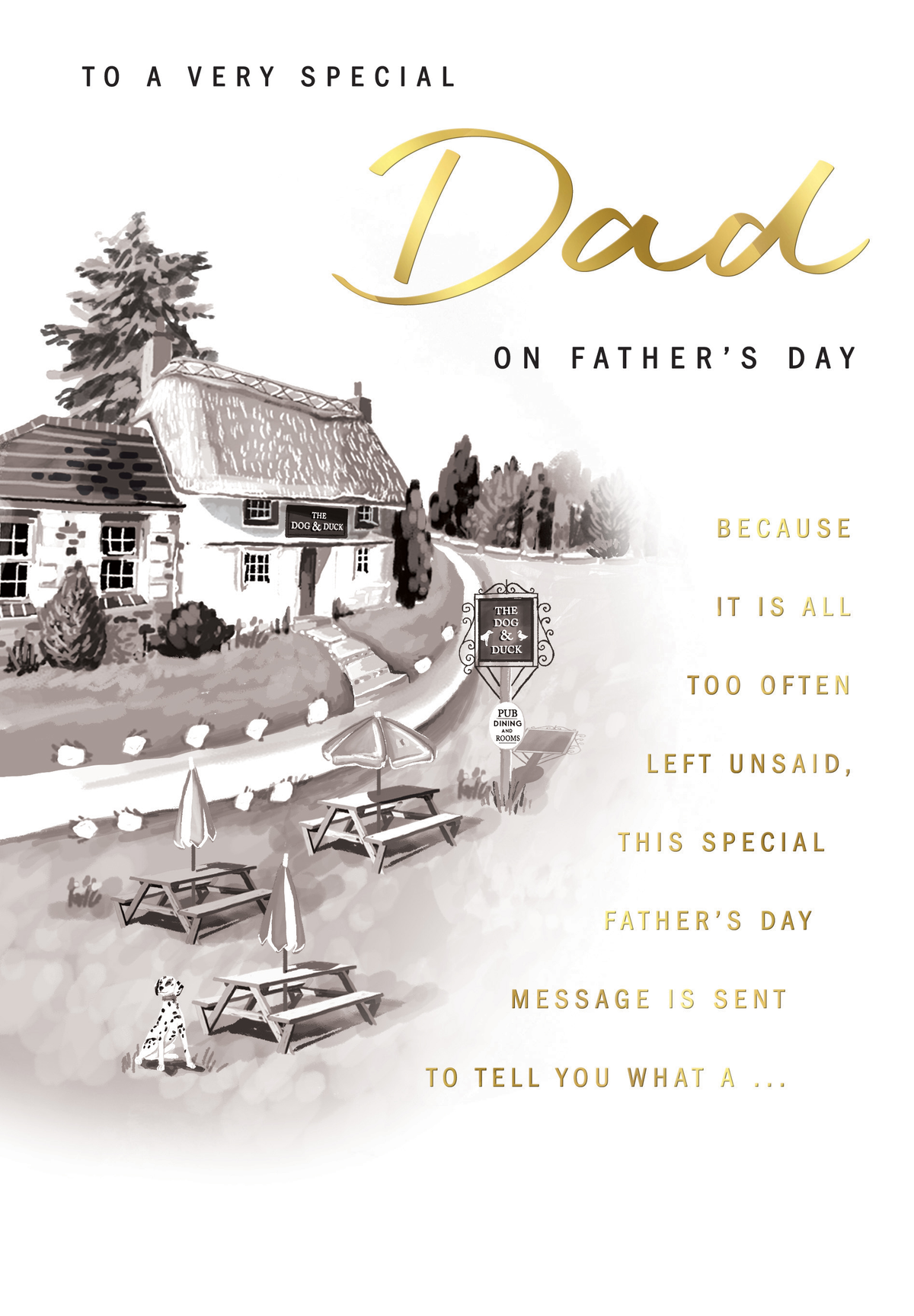 6pk Cards FD C90 Dad B&W Pub - Tiger Feet Ireland