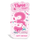 6pk Cards C55 Birthday Age 3 - Tiger Feet Ireland
