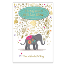6pk Cards C75 Birthday Niece - Tiger Feet Ireland
