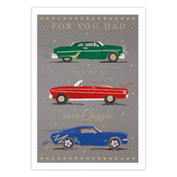 6pk Cards C90 Birthday Dad - Tiger Feet Ireland