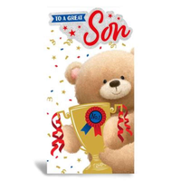 6pk Cards C55 Birthday Son - Tiger Feet Ireland