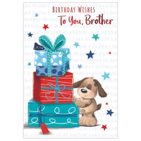 6pk Cards C50 Birthday Brother - Tiger Feet Ireland