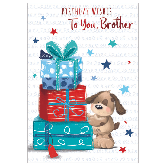 Kingsley 6 Pack Cards C50 Birthday Brother