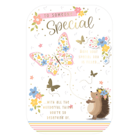 6pk Cards C75 Birthday Sister - Tiger Feet Ireland