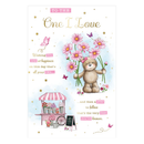 6pk Cards C75 Birthday Nanna - Tiger Feet Ireland