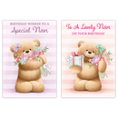 12pk Cards C50 Birthday Nan - Tiger Feet Ireland