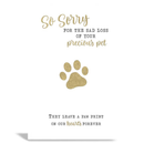 6pk Cards C50 Sympathy Loss Of Pet - Tiger Feet Ireland