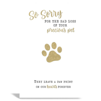 6pk Cards C50 Sympathy Loss Of Pet - Tiger Feet Ireland