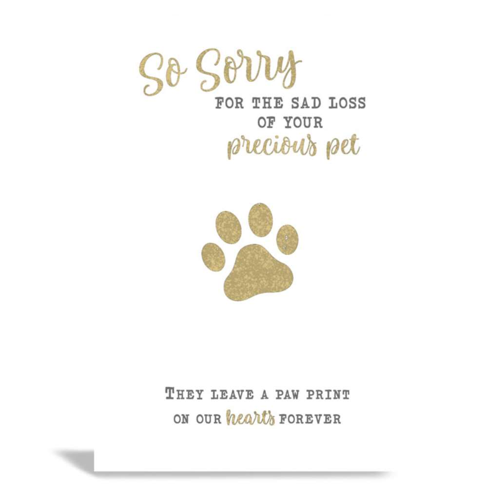 6pk Cards C50 Sympathy Loss Of Pet - Tiger Feet Ireland