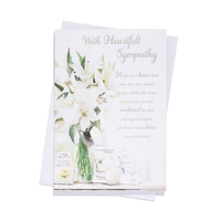 6pk Cards C50 Sympathy Open - Tiger Feet Ireland