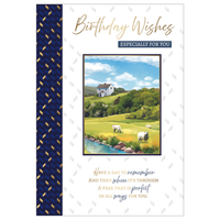 6pk Cards C50 Birthday Open - Tiger Feet Ireland