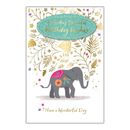 6pk Cards C75 Birthday Open - Tiger Feet Ireland