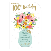 6pk Cards C75 Birthday Age 100 - Tiger Feet Ireland