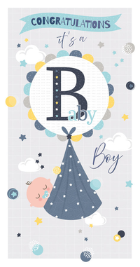 6pk Cards C55 Birth Congratulations - Tiger Feet Ireland