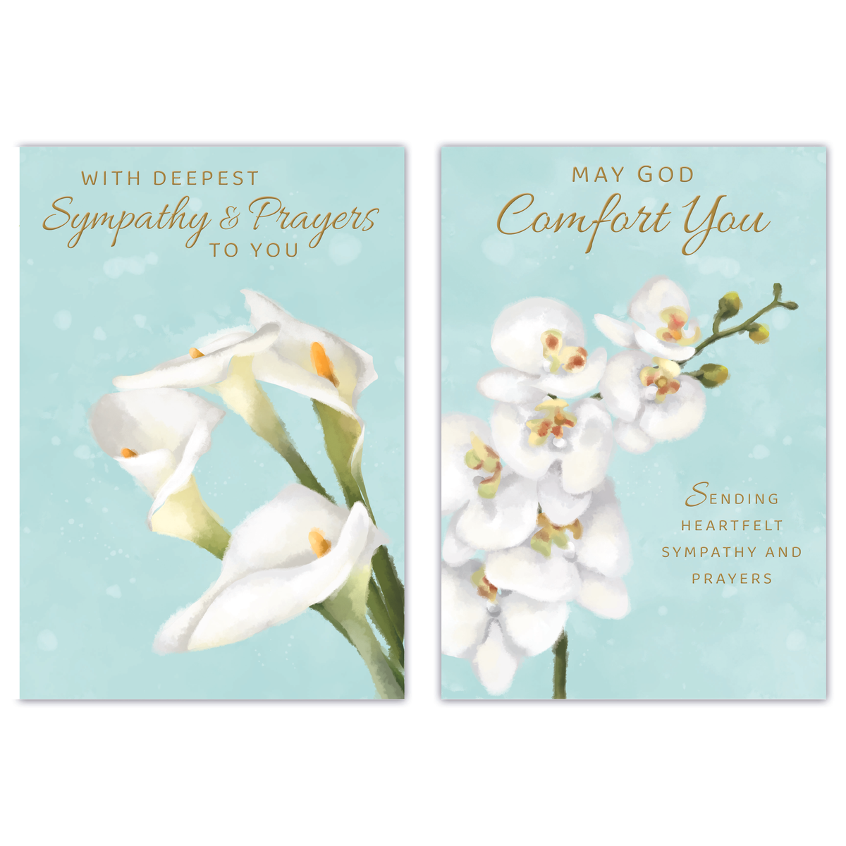 12pk Cards C50 Sympathy Religious - Tiger Feet Ireland