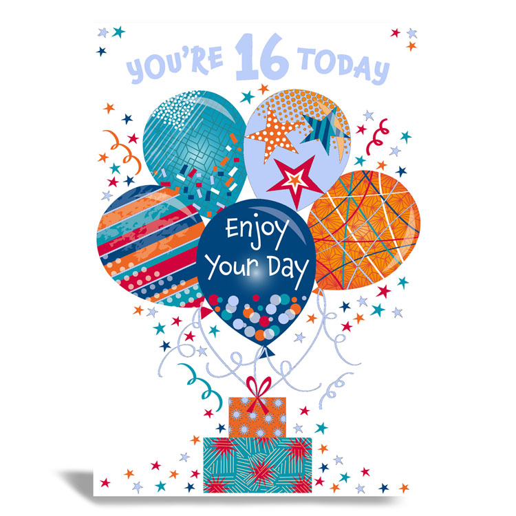 6pk Cards C50 Birthday Age 16 - Tiger Feet Ireland