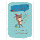 6pk Cards C50 Birthday Brother - Tiger Feet Ireland