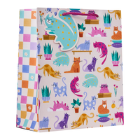 Partisan 6 Pack Gift Bag Cattitude Medium - Tiger Feet Ireland
