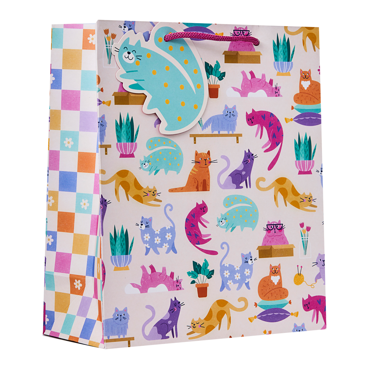 Partisan 6 Pack Gift Bag Cattitude Medium - Tiger Feet Ireland